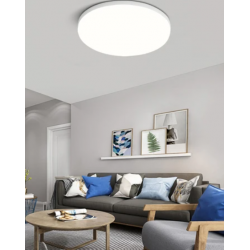 Led Ceiling Light RGB with...