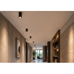 Ceiling down light Black...