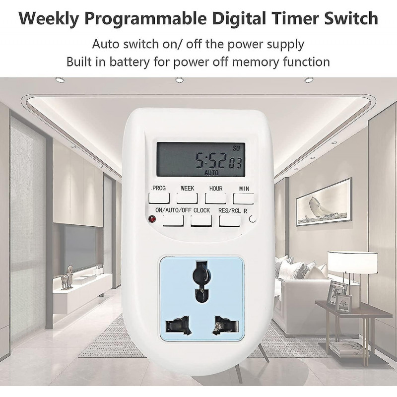 Programmable Timer Digital